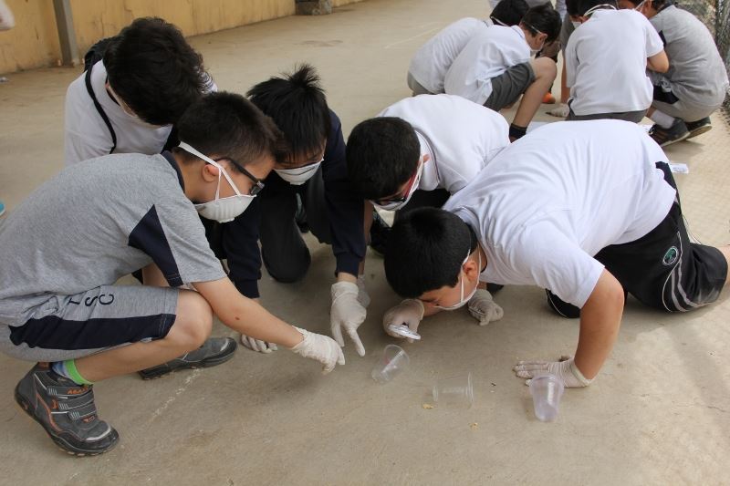 Simulated Crime Scene Investigation. - The International School of ...
